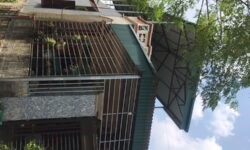 Chính chủ bán nhà  tại Phú Lộc, Phù Ninh, Phú thọ
