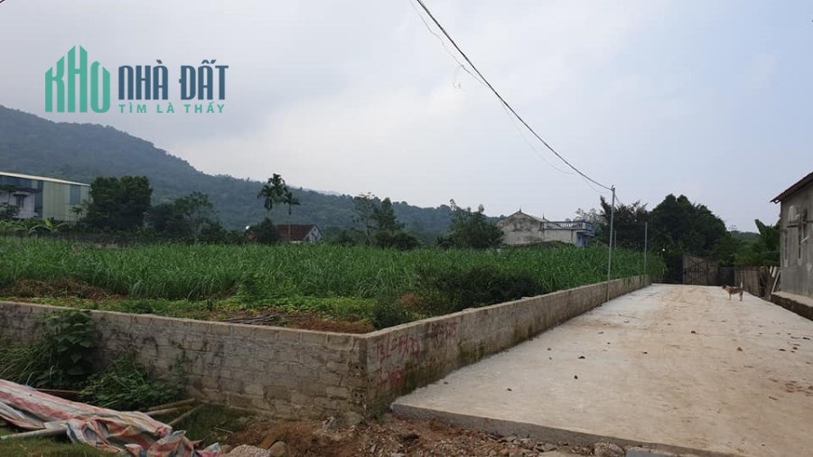 Đất sổ đỏ 1000m2 tại Vân Hoà, Ba Vì, HN giá nhỉnh hơn 3 tỷ