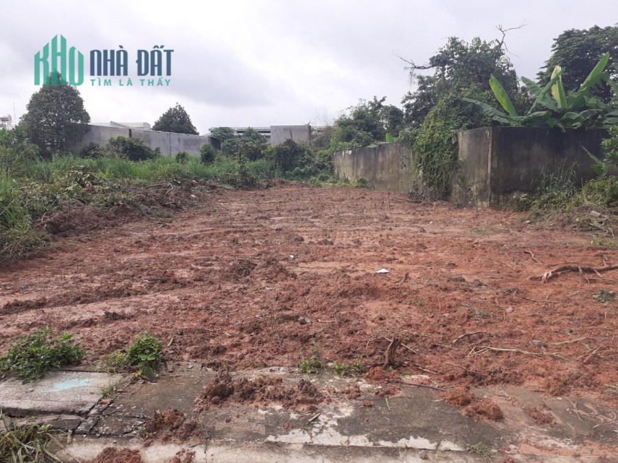 Hiện tại vợ chồng tôi đang cần bán gấp lô đất 300m2 thổ cư hết + dãy trọ đôi 16 phòng