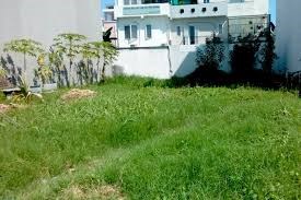 ĐẤT BÌNH DƯƠNG GIÁ RẼ, 300M2 THỔ CƯ SỔ HỒNG, GIÁ 490 TRIỆU, HỖ TRỢ VAY ĐẾN 70%