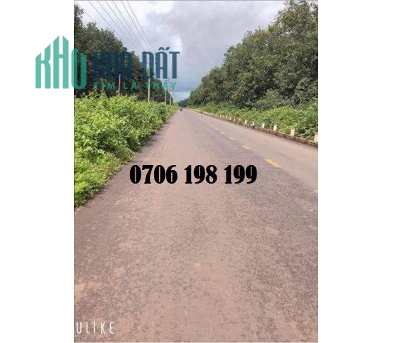 Bán đất rẫy Huyện Cư Mgar, Đăk Lăk, 1,05 tỷ, 0706198199