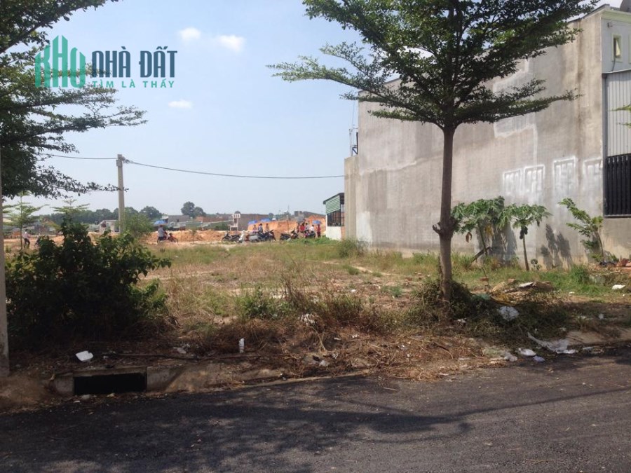 Kinh doanh thủy sản thua lỗ tôi bán lỗ 200m2 đất đô thị và 16 phòng trọ cạnh chợ khu công nghiệp