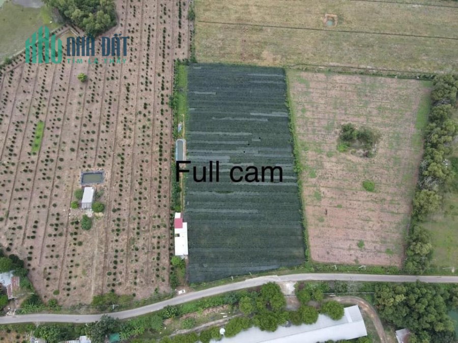 Bán đất huyện Tân Phú , Đồng Nai
