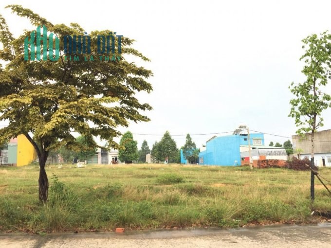 Kinh tế khó khăn cần tiền trả nợ tôi cần bán lô đất 450m2, giá 950 triệu/150m2
