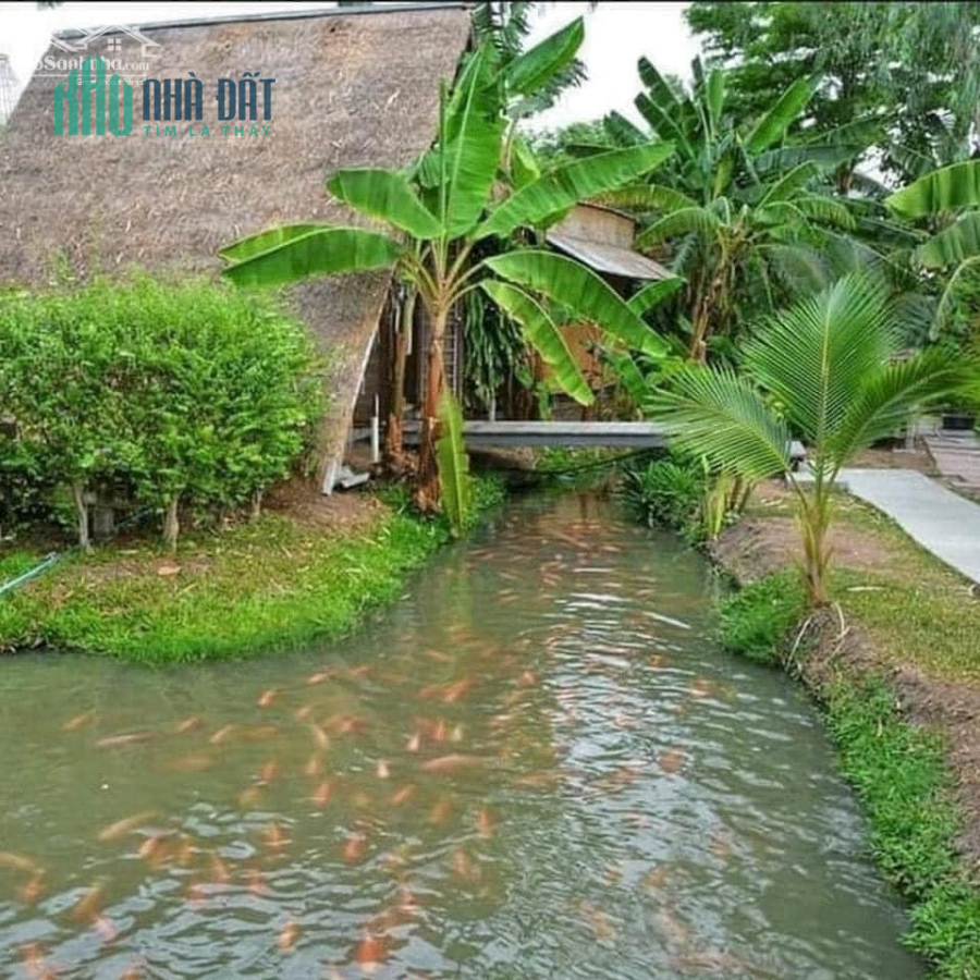 Bán Vườn Trái Cây Giá Rẻ Nhất Khu Vực