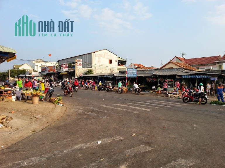Gia đình kẹt tiền bán 465m2 đất và dãy trọ 16 phòng đang cho thuê thu nhập tháng 20tr