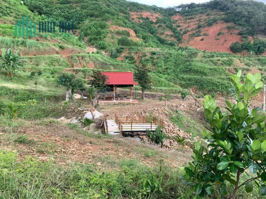 Bán khu nghỉ dưỡng 