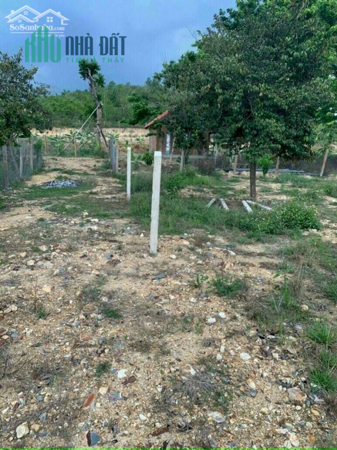 Đất vườn diên thọ giá ít trăm nghìn 1 mét vuông
