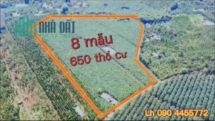 Bán 8 mẫu có 650m thổ, tạị xã Quảng Thành, Châu Đức, BRVT. 450tr/sào. Lh:0904455772