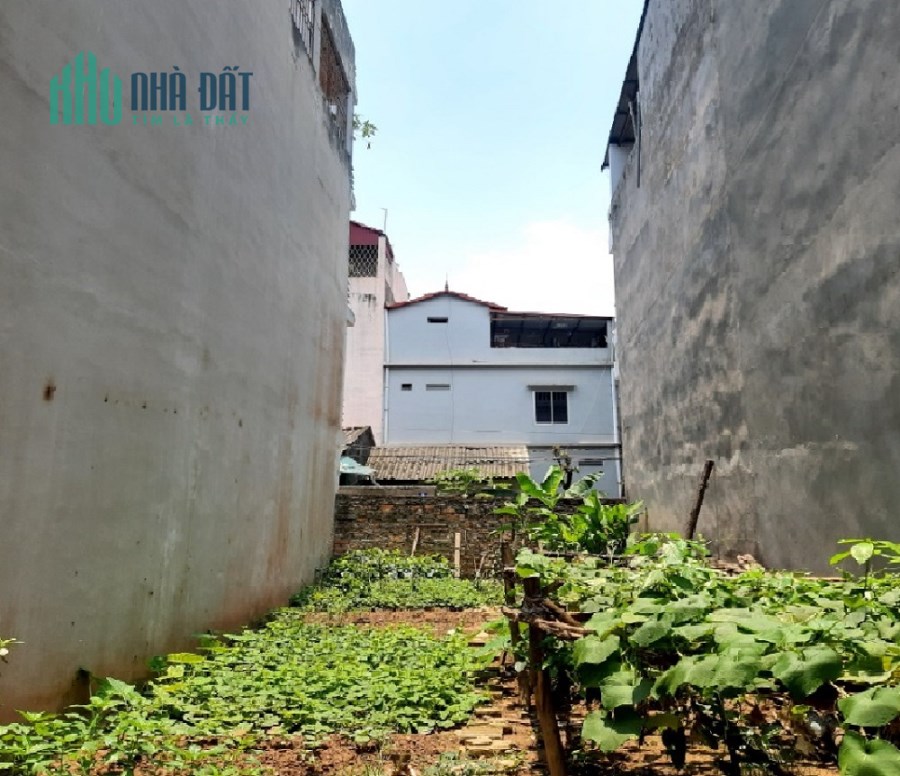 Đất ngõ 570 kim giang đẹp vuông vắn 55 3.2 tỷ - ngõ ngắn nông – an sinh tốt