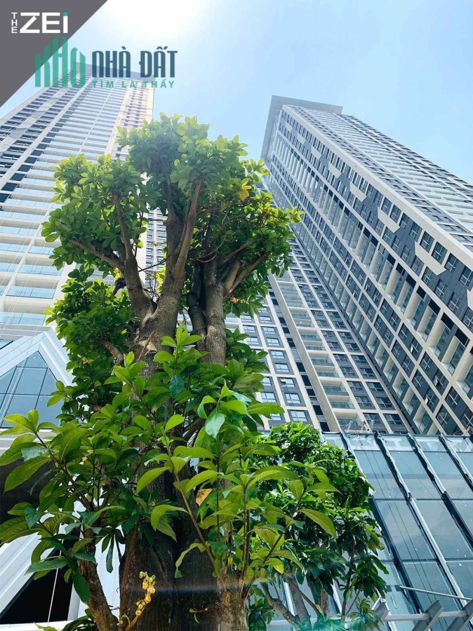 Bán căn duplex toà The Zei cực VIP khu vực Mỹ Đình view hồ Mai Dịch