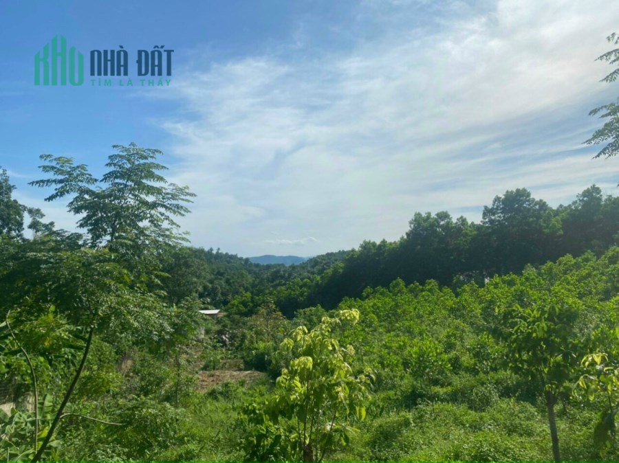 Bán đất nghỉ dưỡng Ba Vì không đâu rẻ bằng, chỉ 1,7 triệu/m2