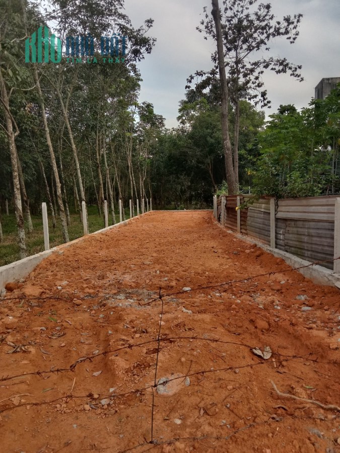 Cần tiền trả nợ ngân hàng bán gấp 315m2, gần Quốc lộ 13, dân cư đông tiện kinh doanh buôn bán -tôi
