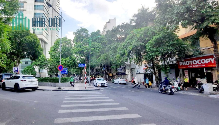 Bán nhà mặt phố Phó Đức Chính 146m2, MT 14m. Vị trí đẹp, kinh doanh đỉnh, dòng tiền cao.