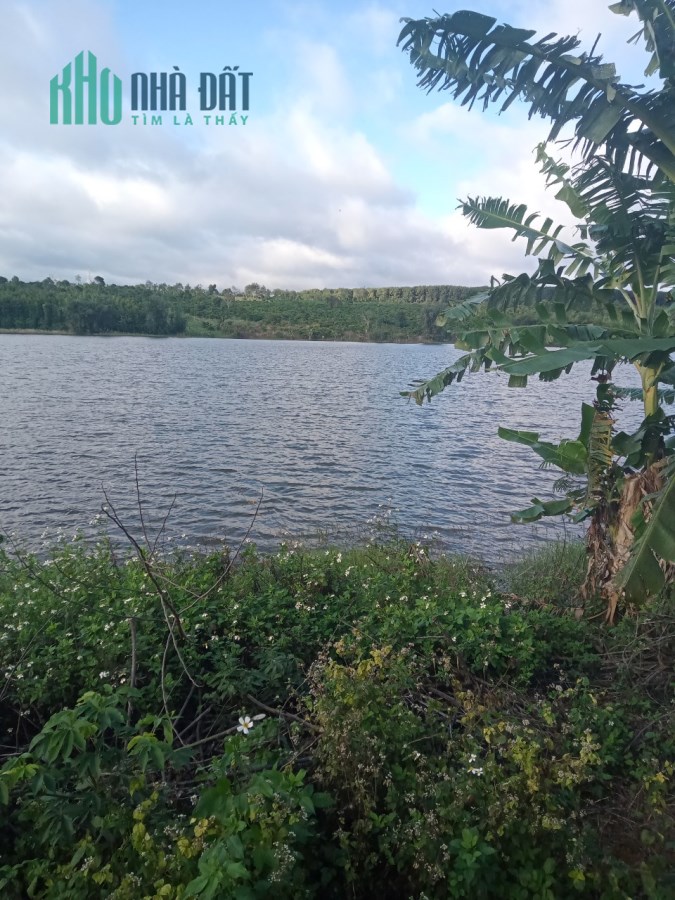 Cần bán đất rẫy 2ha View Hồ tại Đăk Glong, Đăk Nông