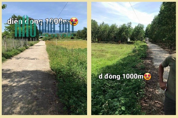 Chính chủ bán đất Diên Lâm, Nha Trang, Khánh Hòa, 8,6 tỷ; 0916810869