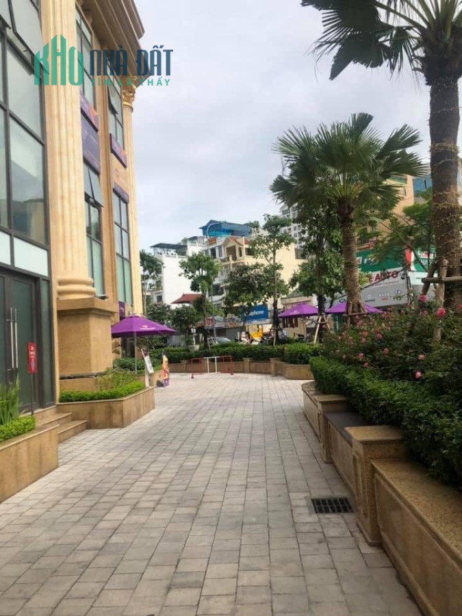 Tôi cần bán gấp CHCC Tòa 2 CC Tân Hoàng Minh - Võ Chí Công giá 2,65 tỷ , 55m2
