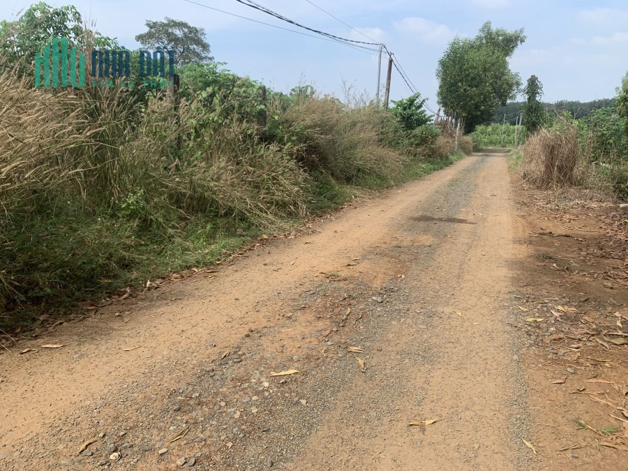 Chính chủ gửi bán 1208m2 (20,3x60m) Xã Bàu Cạn Long Thành