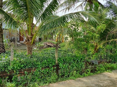 Bán gấp lô đất đẹp view đồng, hướng đông xã Bình Lộc, Diên Khánh, Khánh Hoà; 680tr; 0778599626