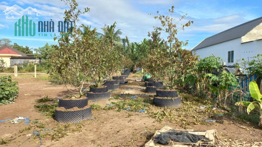 Bán 2600m2 đất vườn, giáp kênh tại thành phố Tân An, Long An. 4.5 tỷ
