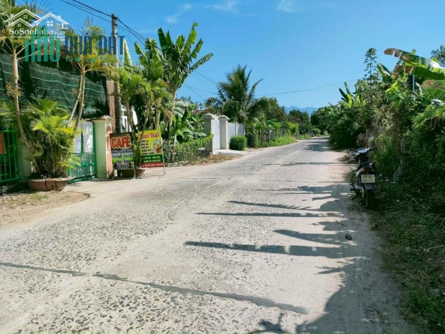 Đất Mặt Tiền Liên Xã Bình Lộc ( Diên Bình cũ ) thích hợp kinh doanh an cư
