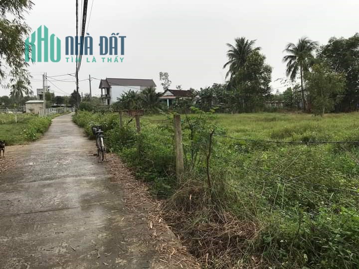Chào  bán  lô  đất  cây  lâu  năm