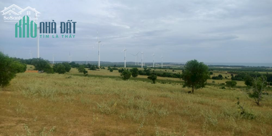 Lô đất view biển 5780m2 đường sỏi 5m vào tới đất, cách đường nhựa 180m, nhận trả góp