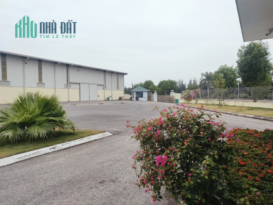 Cho thuê kho chuyên dụng 5000m2 trong KCN Deep C Hải Phòng