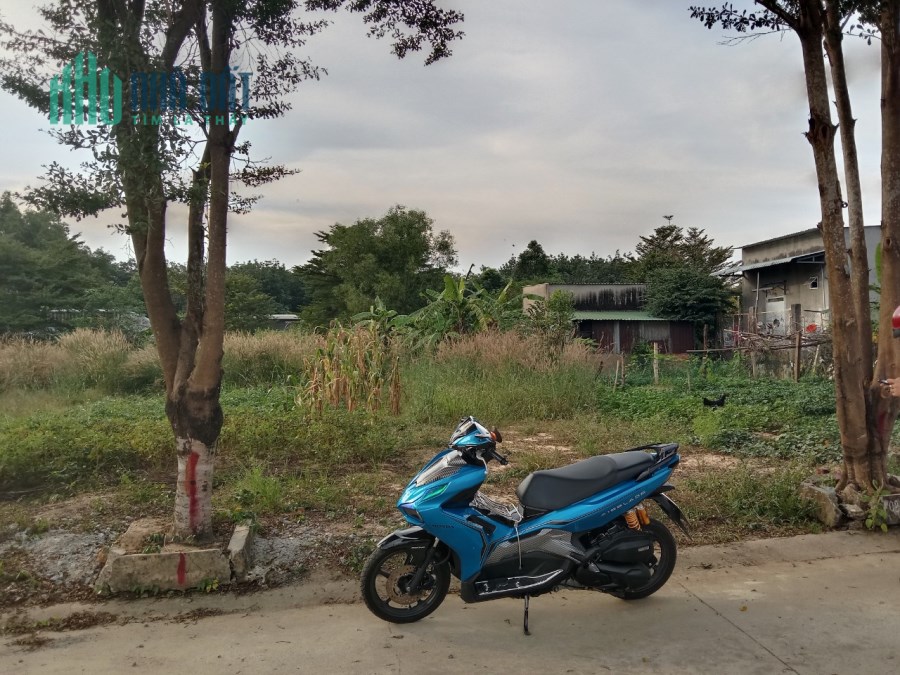 VỠ NỢ CẦN BÁN GẤP 2 DÃY TRỌ, MỖI DÃY 1 SỔ RIÊNG, SHR,GẦN KHU CÔNG NGHIỆP, TRƯỜNG ĐẠI HỌC