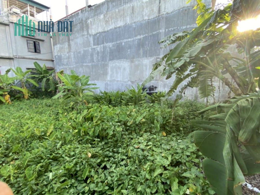 Bán lô đất đối diện bệnh viện Đa khoa Đông Hưng 81m2 , MT 4,5m
