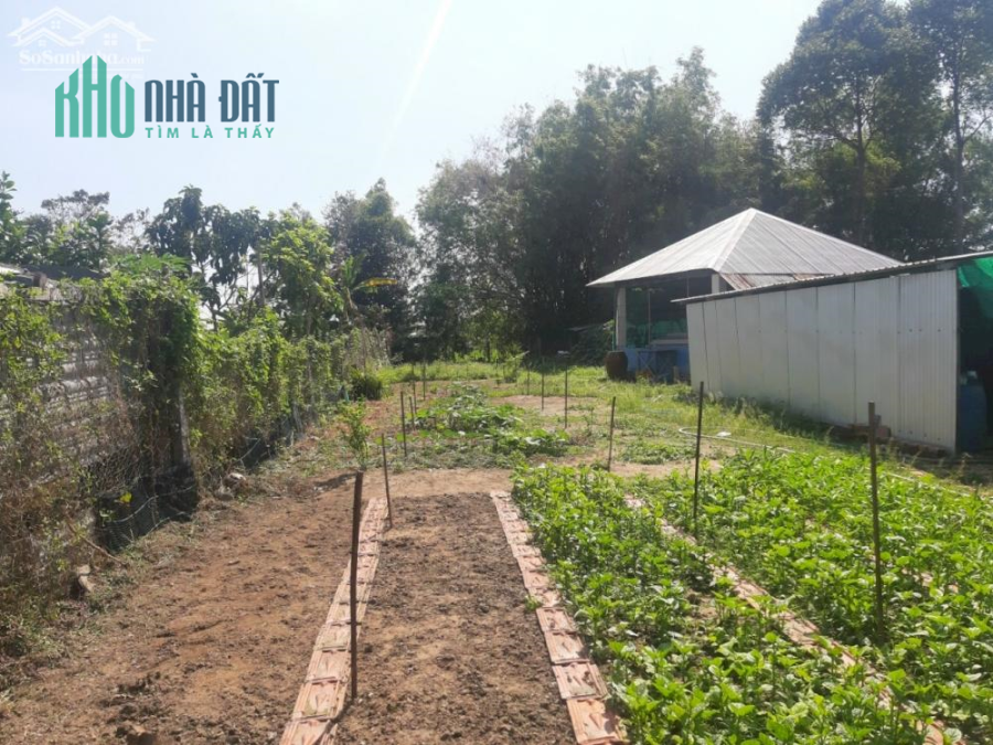 Bán nền tặng nhà cấp 4, xã Mỹ Khánh, Long Xuyên, An Giang