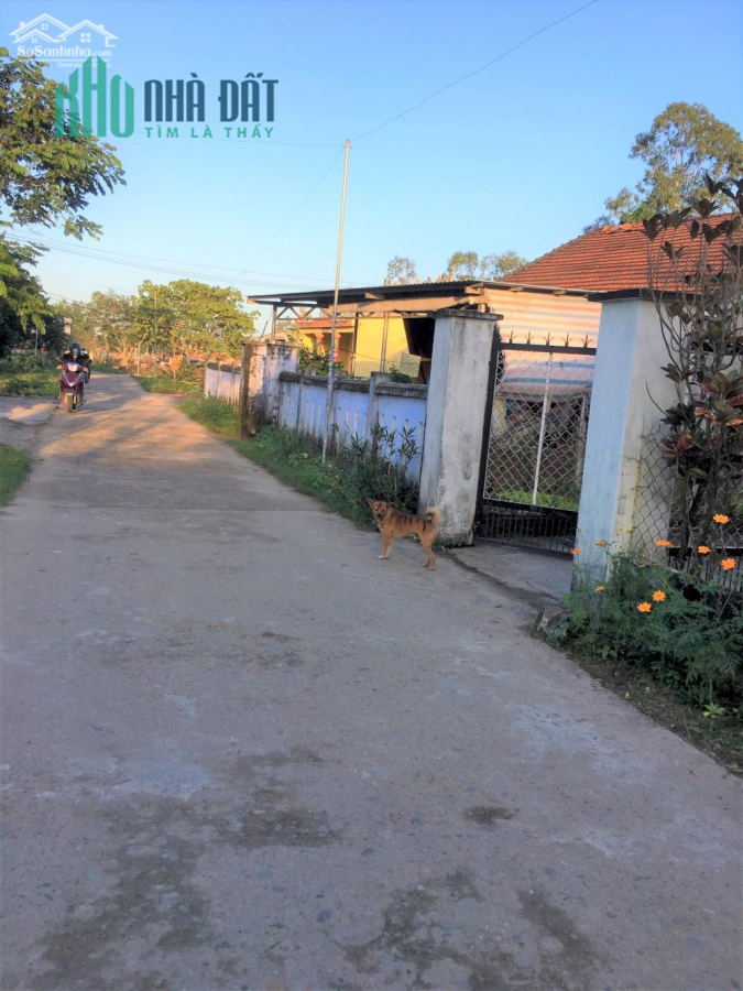 Đường thông, hè thoáng, sát đường nhựa, bán nhanh lô đất Điện Tiến sẵn sổ đỏ