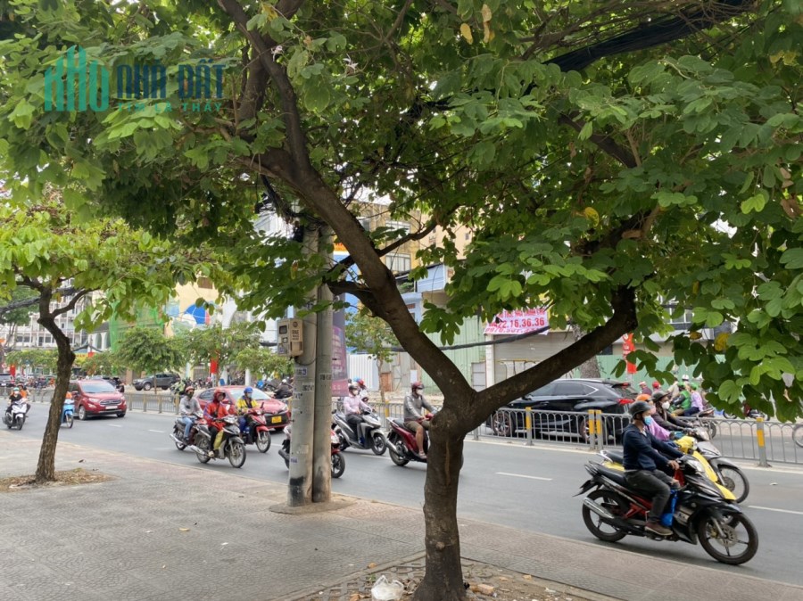 CHO THUÊ MẶT TIỀN ĐƯỜNG CÁCH MẠNG THÁNG 8, PHƯỜNG BẾN THÀNH, QUẬN 1
