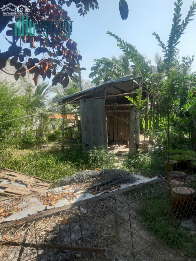 Bán nền mặt tiền tỉnh lộ 941, Cần Đăng, Châu thành, An Giang