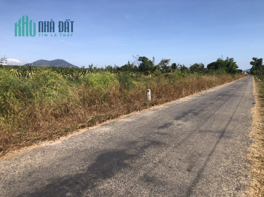 Bán 116x80 11 tỷ Ngô Thì Nhậm tân tiến lagi