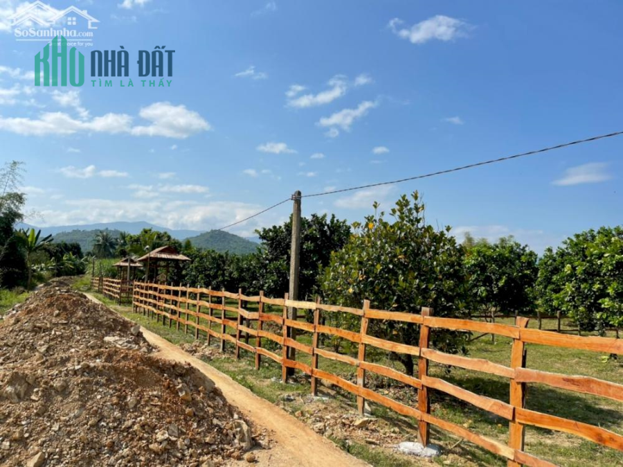 Bán đất nhà vườn Diên Đồng - Diên Khánh