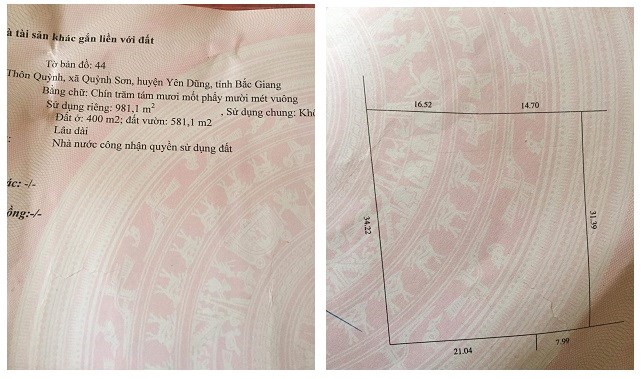 Chính chủ bán đất thôn Quỳnh, xã Quỳnh Sơn, Yên Dũng, Bắc Giang, 0868734583