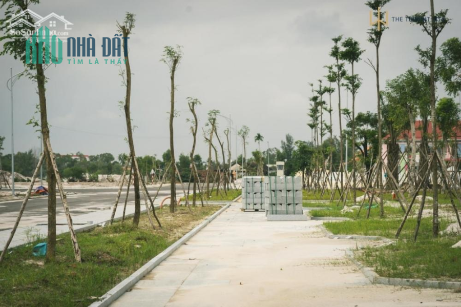 DỰ ÁN ĐẤT NỀN KHU ĐÔ THỊ QUỐC TẾ AN PHÚ- TAM KỲ