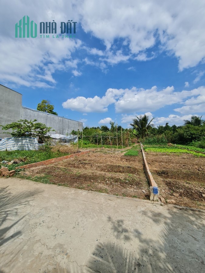 Đất đẹp 124,5m2 KV Phú Thuận, p Tân Phú, Q Cái Răng, SHR, chỉ 520tr. Lh:0913843264