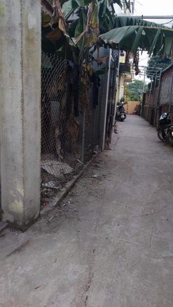 Bán nhanh mảnh đất 57m2 tại thôn Sen Hồ, Lệ Chi... Giá chỉ 19tr/1m. 0983253436