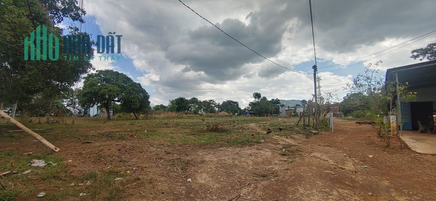 Chuyển nhượng 4 sào đất trồng cây lâu năm vị trí đẹp tại Suối Cao