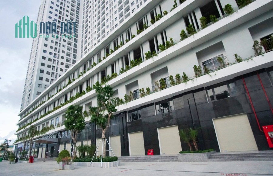Bán Shophouse thương mai căn hộ Ecolife Riverside Quy NHơn