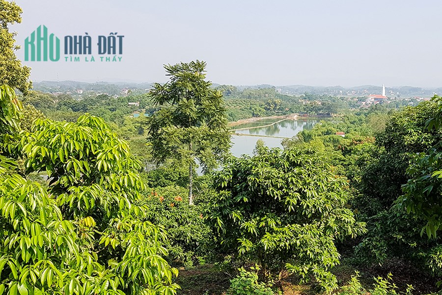 Bán nhà sân vườn tại Bắc Giang