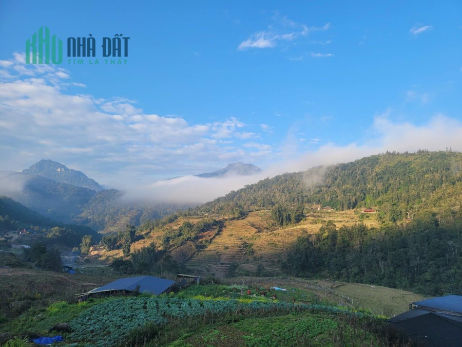 Chính chủ nhà em cần tiền, bán nhanh mảnh đất ở Suối Thầu, Tả Phìn Sapa.
