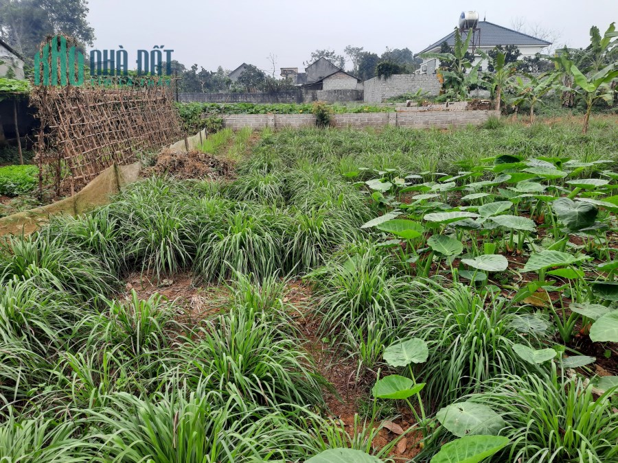 BÁN GẤP 347m2 thôn Bạch Thạch, xã Hòa Thạch giá 8,5tr/m2. LH:0977234623