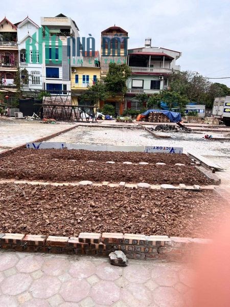 Đất mặt chợ chiều KD trục chính thôn Vàng, Cổ Bi Giá 60tr/1m. lh 0983253436