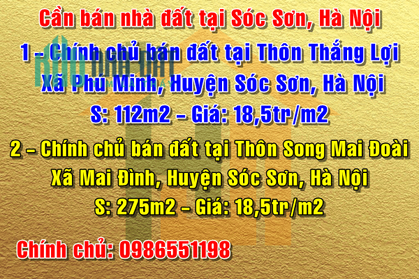 Chính chủ bán đất tại Thôn Thắng Lợi, Xã Phú Minh, Sóc Sơn, Hà Nội