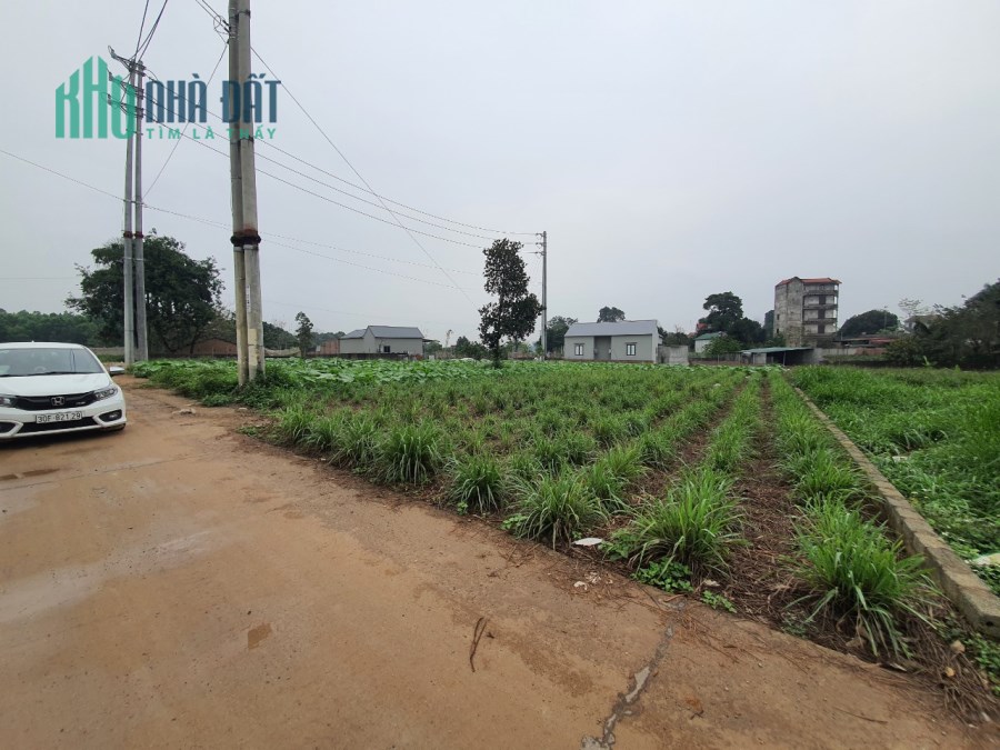 BÁN GẤP 519m2 Hòa Trúc, Hòa Thạch mt 12m giá 8tr/m2. LH:0977234623