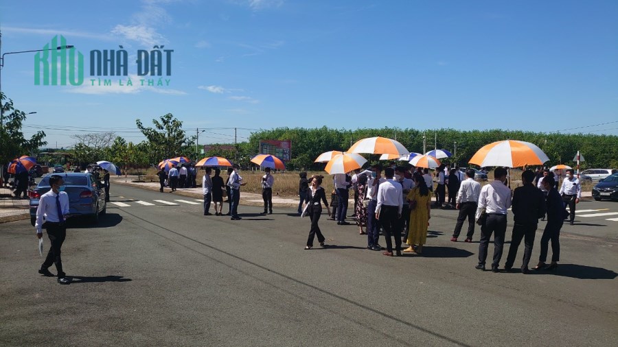 Mở bán duy nhất một ngày chỉ 15 lô