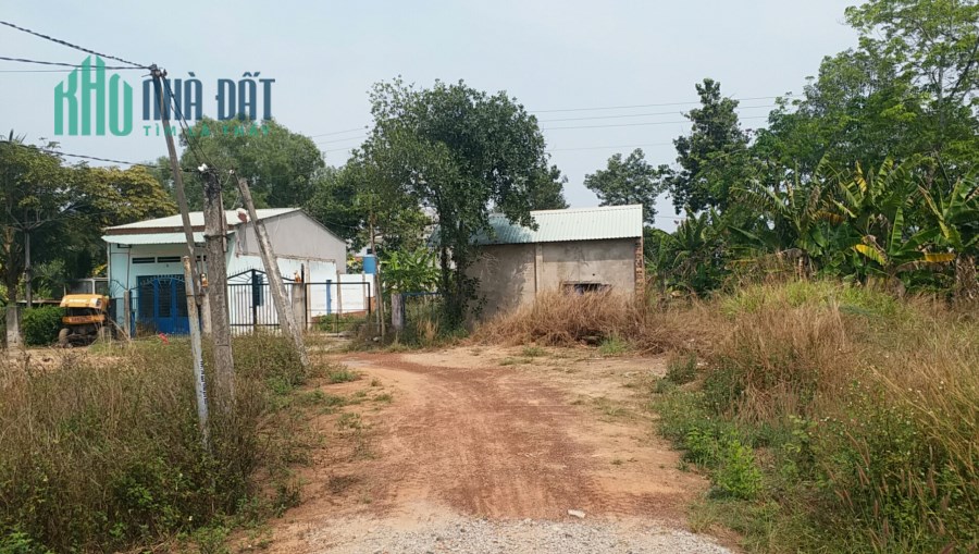 CHUYỂN ĐỊNH CƯ RA BẮC NÊN CẦN BÁN GẤP NHÀ CẤP 4 320M2 VÀ 300 M2 ĐẤT